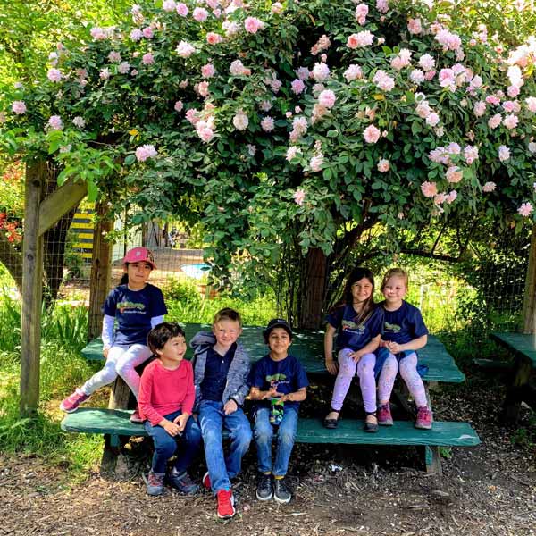 group of kids under flowering tree