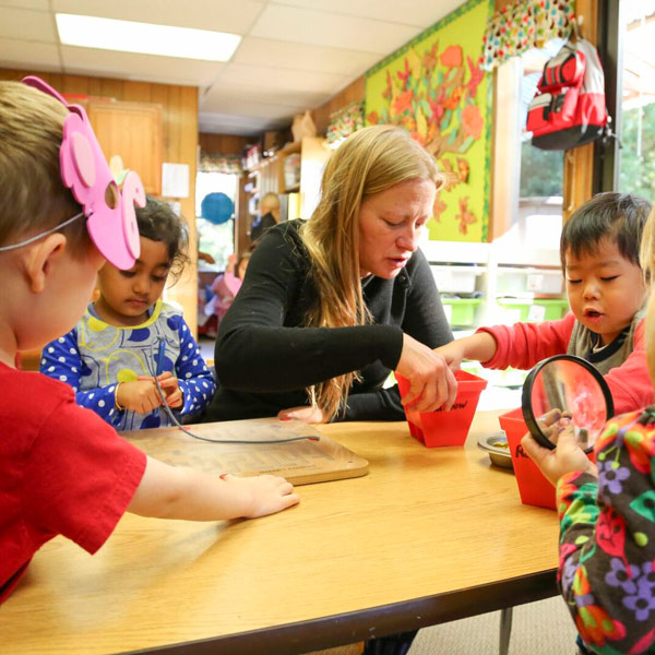 summer-service-image